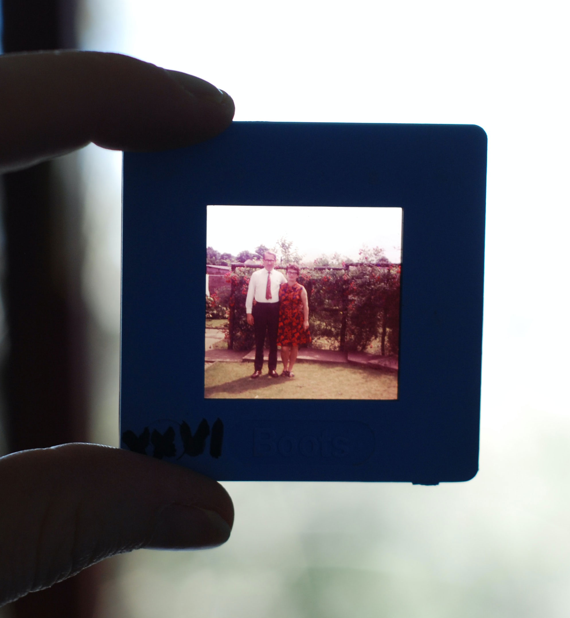 polaroid
